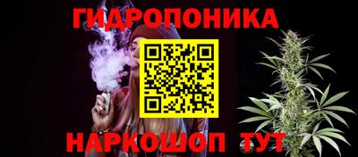эйфоретик Будённовск